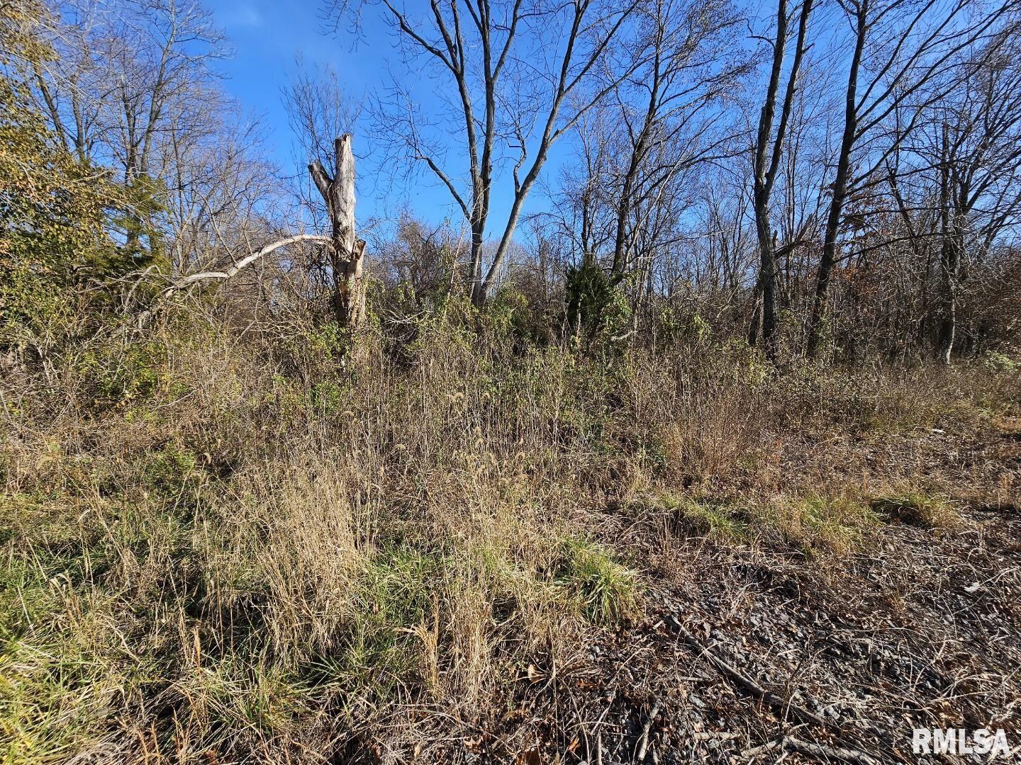 0 North Il Highway Bonnie, IL 62816 - Photo 5 of 7