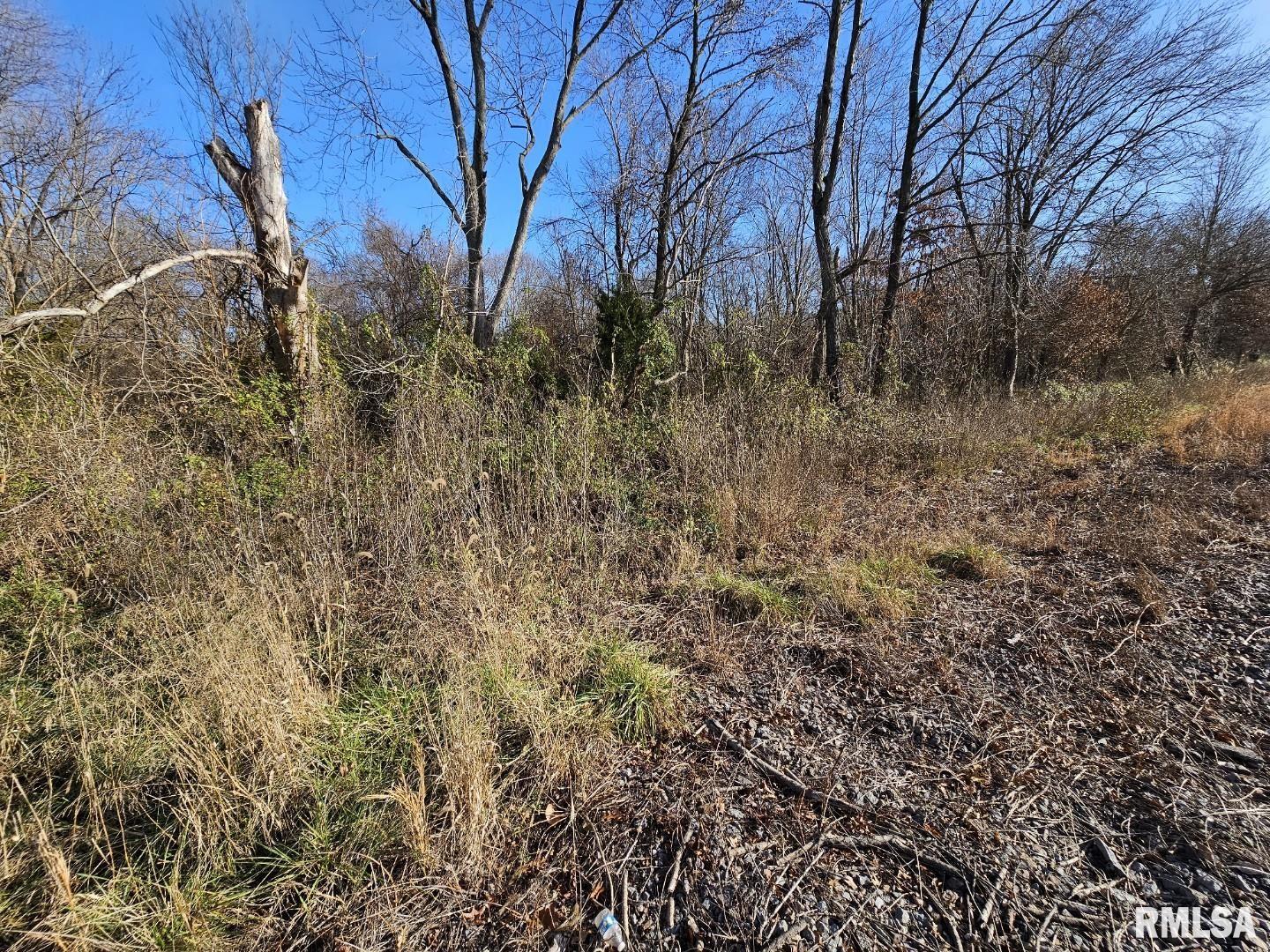 0 North Il Highway Bonnie, IL 62816 - Photo 6 of 7