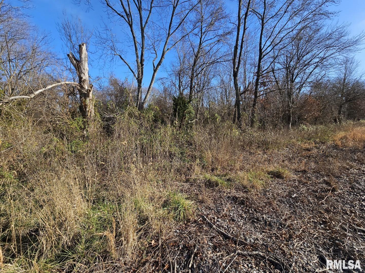 0 North Il Highway Bonnie, IL 62816 - Photo 7 of 7