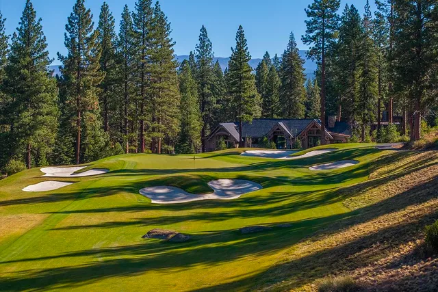a view of a park with large trees