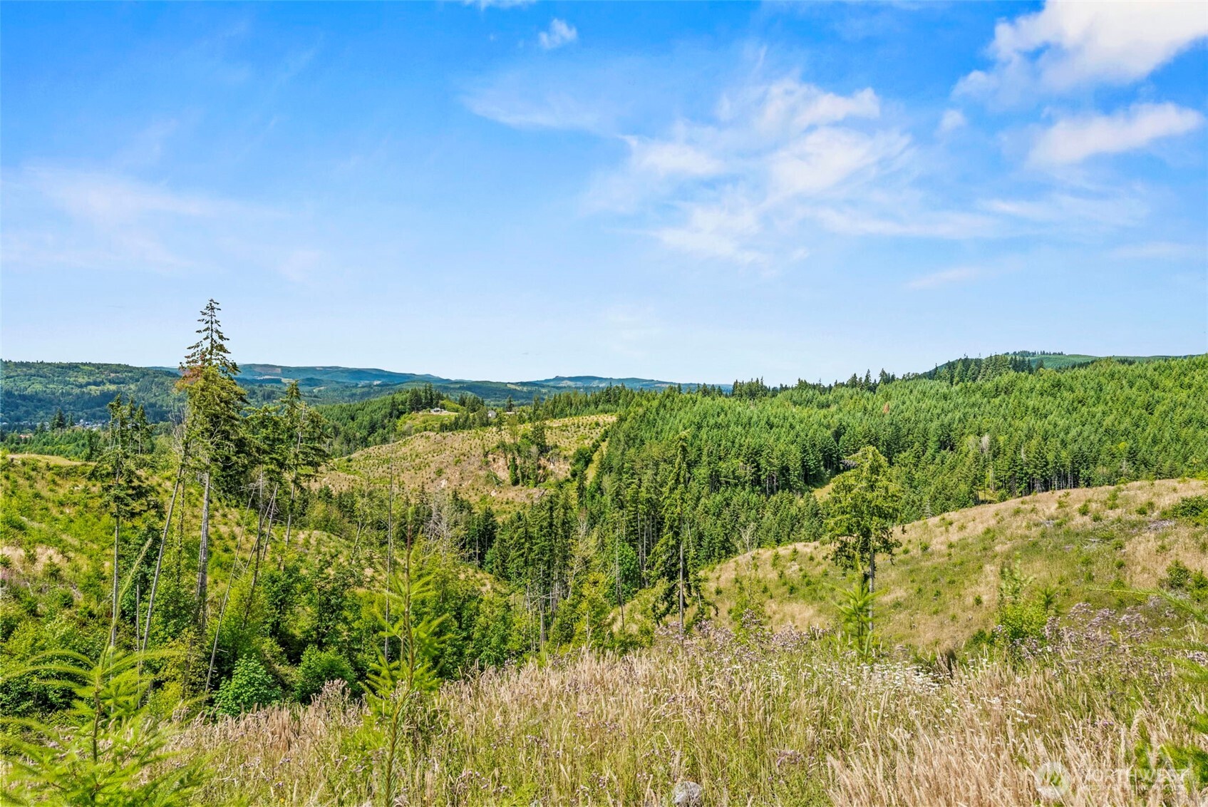 -lot D Holcomb Road Kelso, WA 98626 - Photo 5 of 8 Gallery Image 5