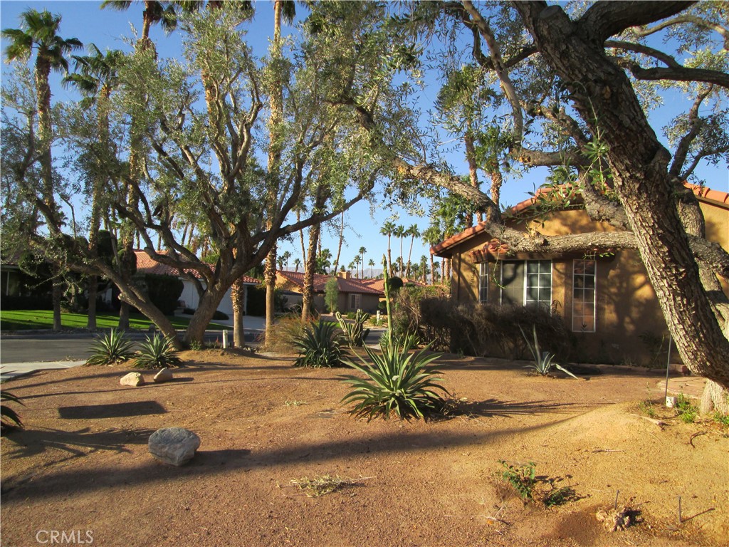 a view of road with large trees