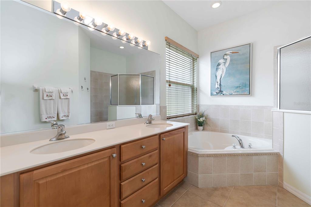 8150 Indigo Ridge Terrace University Park, FL 34201 - Photo 25 of 56 a bathroom with a tub a double vanity sink and mirror