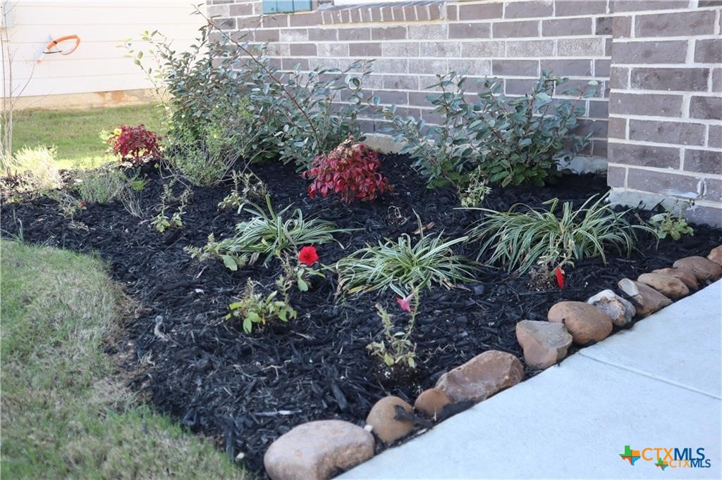 1056 Chachalaca Court Seguin, TX 78155 - Photo 13 of 18 a view of a garden