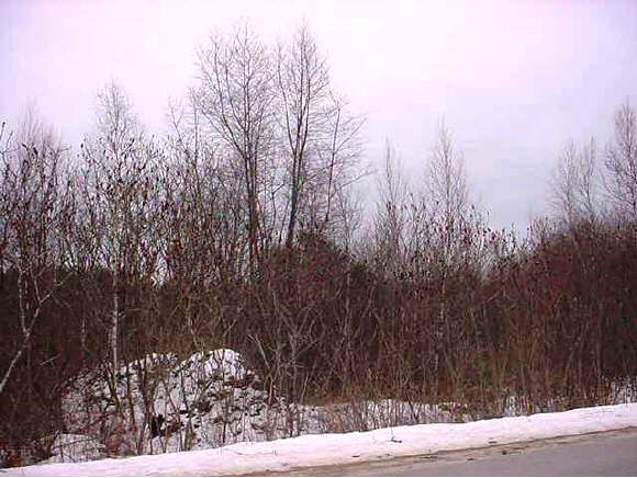 - Seavey Road Belmont, NH 03220 - Photo 1 of 1 Gallery Image 1
