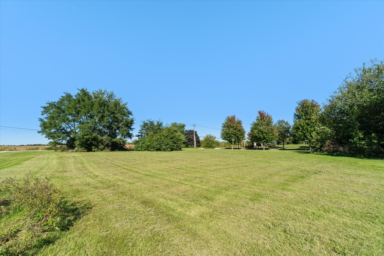 870 Simons Road Plainfield, IL 60585 - Photo 12 of 18 Gallery Image 12