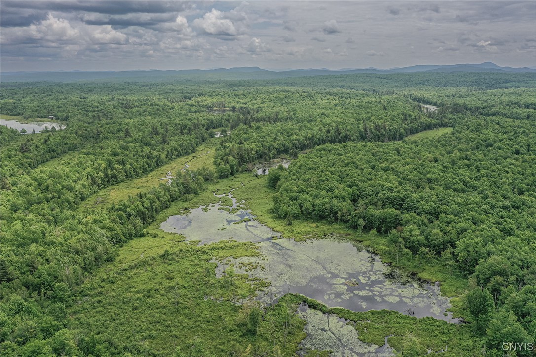 Lake Ozonia Road St. Regis Falls, NY 12980 - Photo 11 of 11
