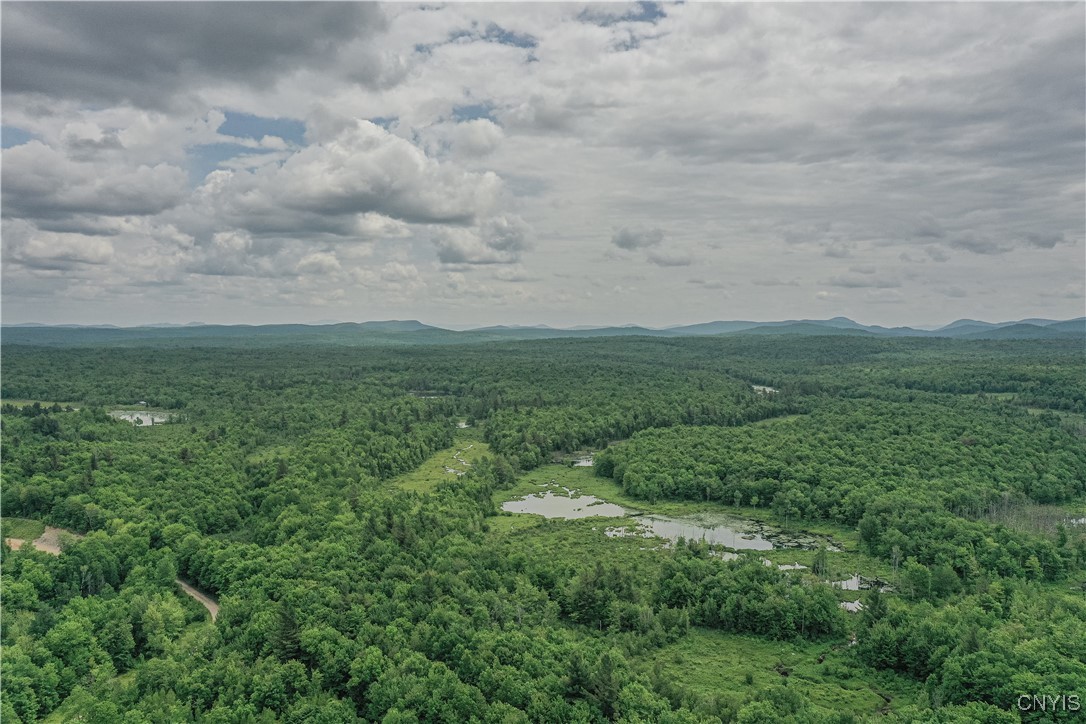 Lake Ozonia Road St. Regis Falls, NY 12980 - Photo 2 of 11