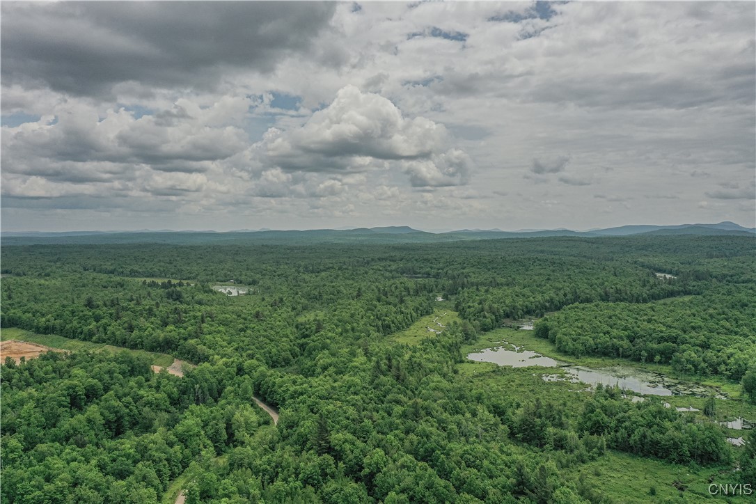 Lake Ozonia Road St. Regis Falls, NY 12980 - Photo 4 of 11