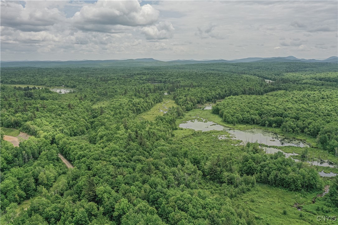 Lake Ozonia Road St. Regis Falls, NY 12980 - Photo 5 of 11