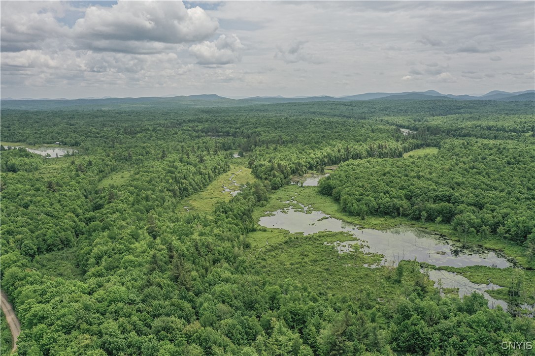 Lake Ozonia Road St. Regis Falls, NY 12980 - Photo 8 of 11