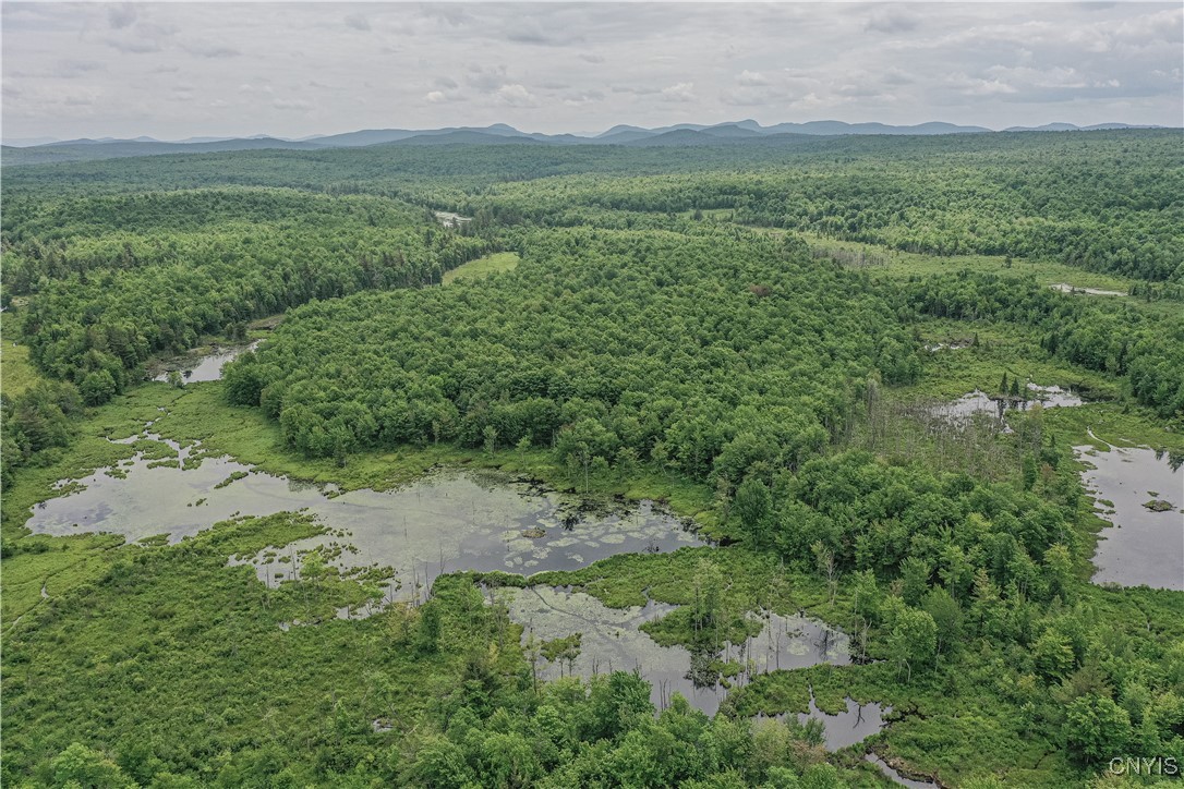 Lake Ozonia Road St. Regis Falls, NY 12980 - Photo 9 of 11