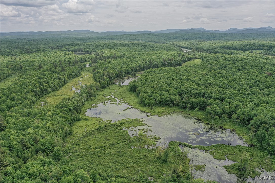 Lake Ozonia Road St. Regis Falls, NY 12980 - Photo 10 of 11