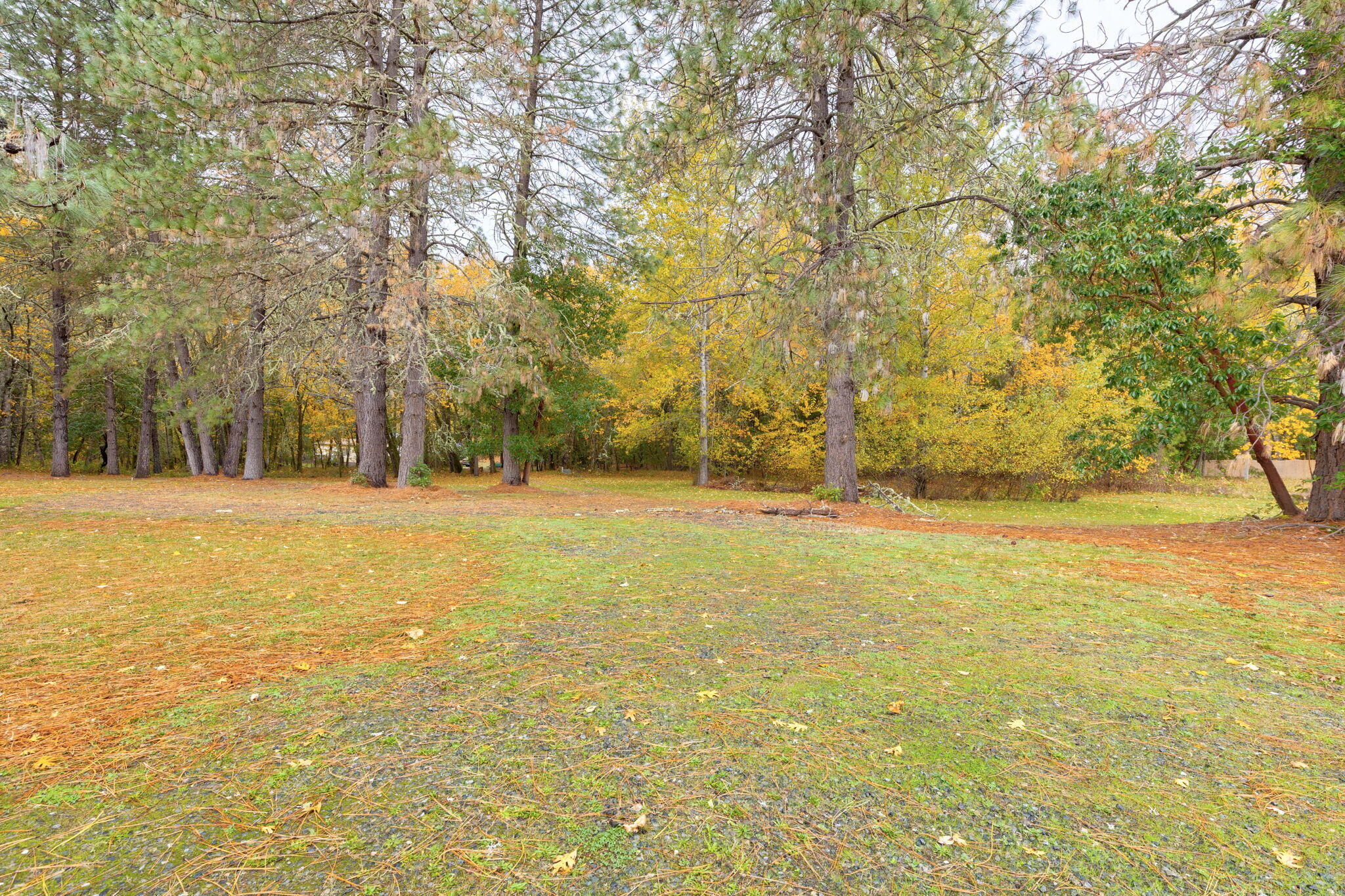 543 Hidden Valley Road Grants Pass, OR 97527 - Photo 32 of 40 31-web-or-mls-543-hidden-valley-rd