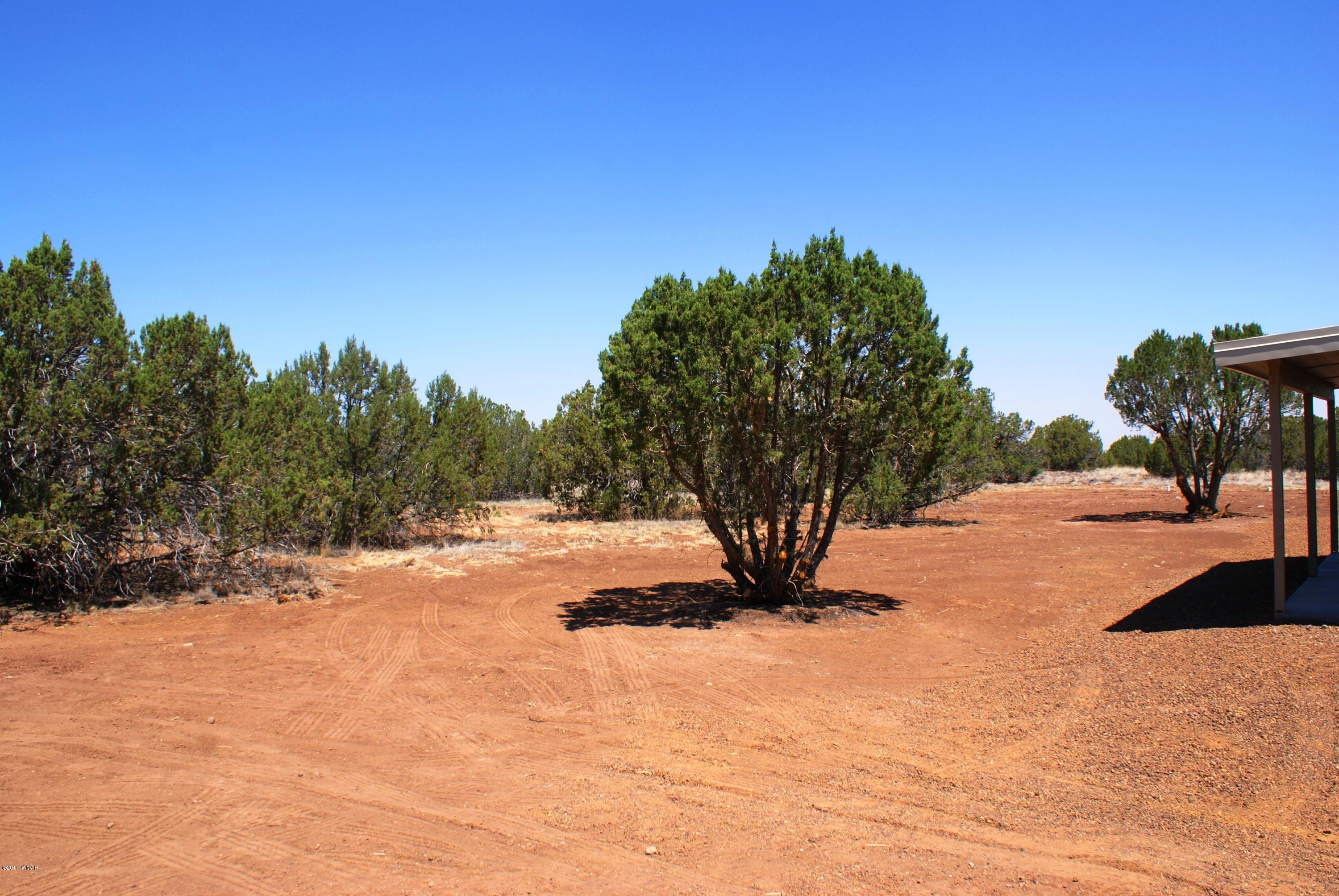 2628 Elk Run Loop Show Low, AZ 85901 - Photo 22 of 26 a view of a yard with a tree