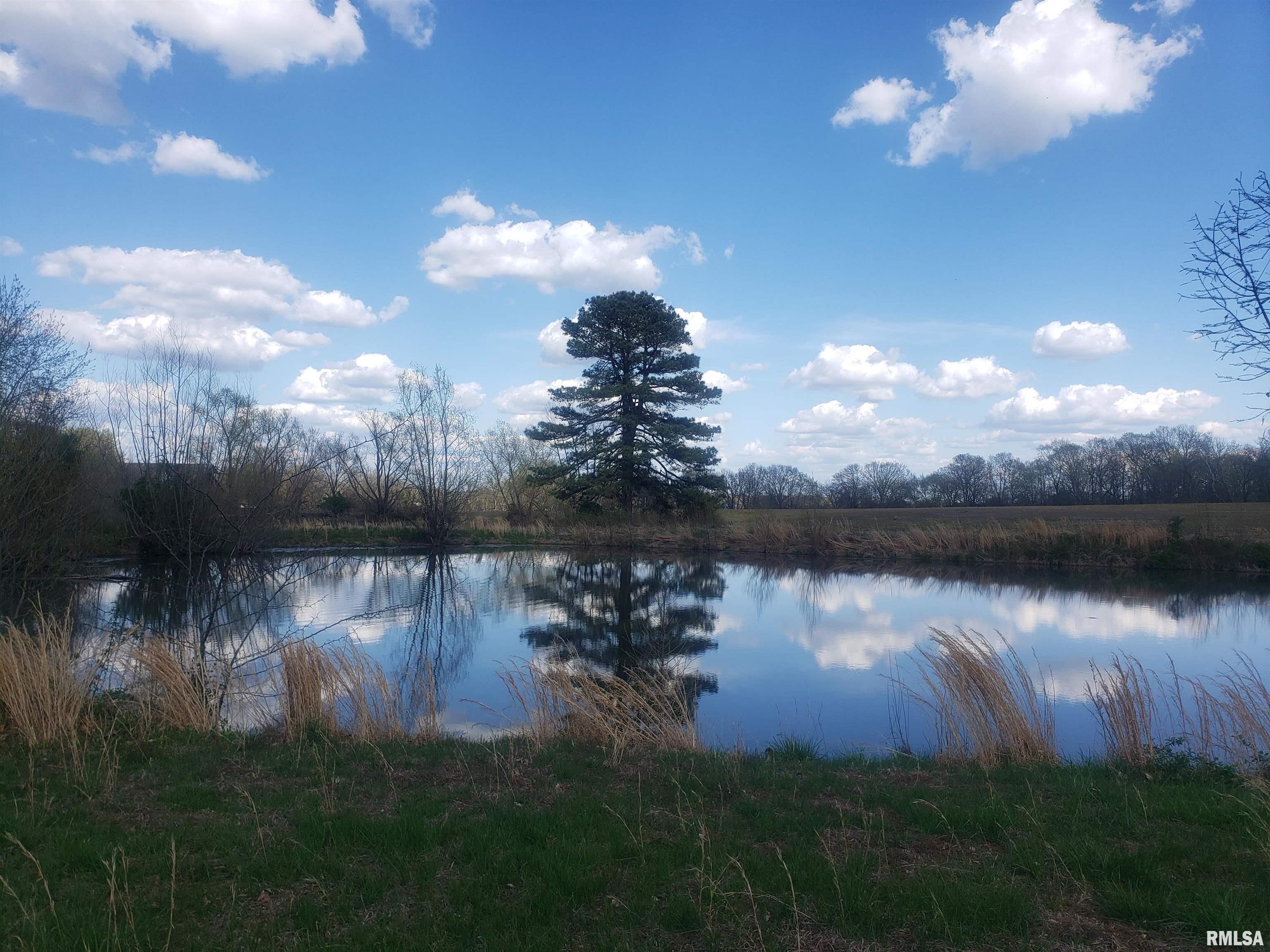 3610 Lick Creek Road Anna, IL 62906 - Photo 14 of 21 Gallery Image 14