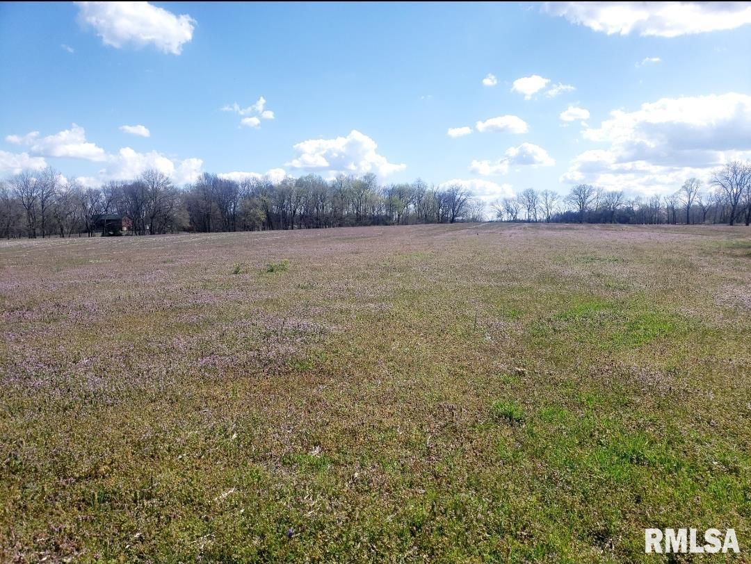 3610 Lick Creek Road Anna, IL 62906 - Photo 16 of 21 Gallery Image 16