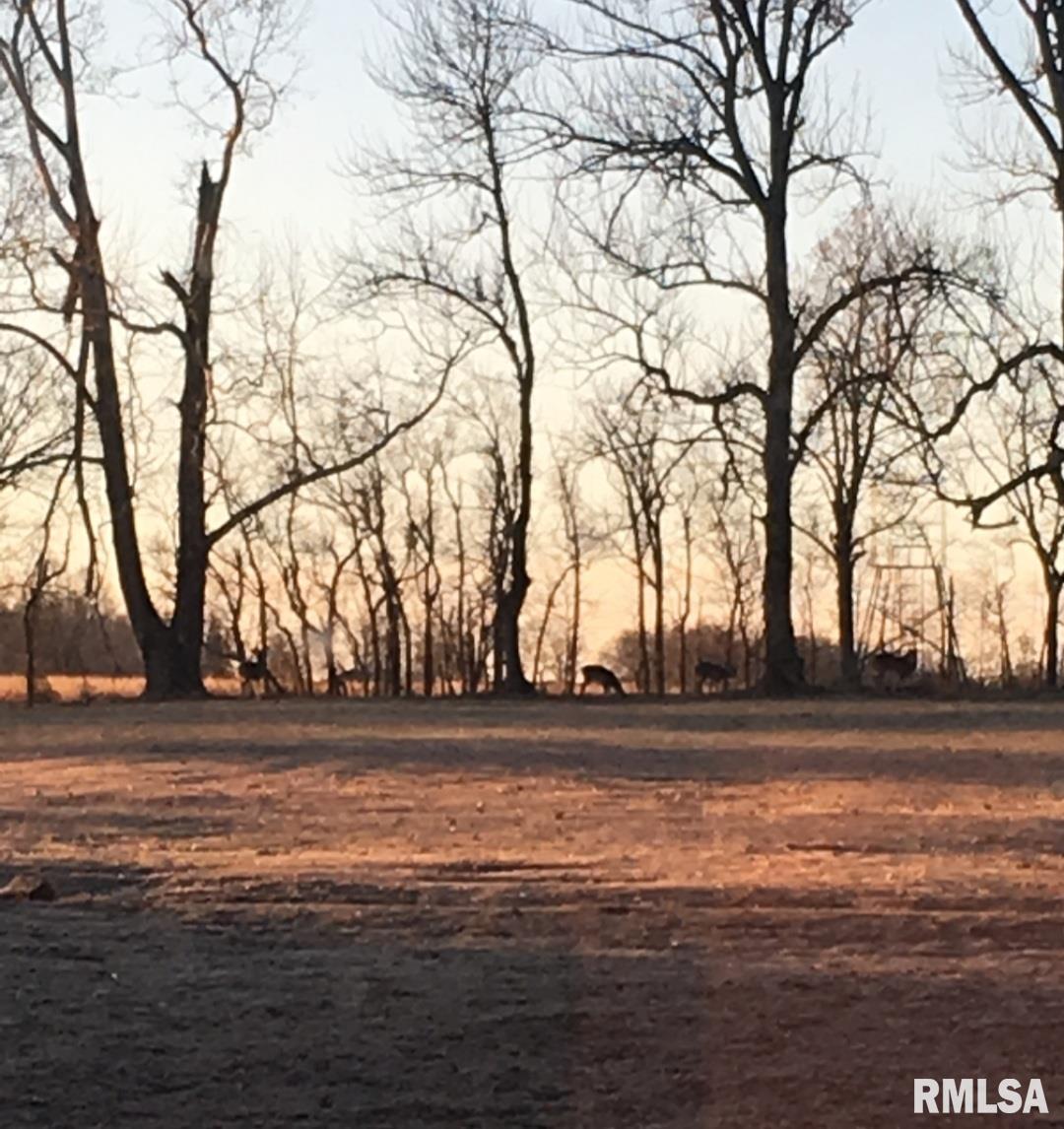 3610 Lick Creek Road Anna, IL 62906 - Photo 19 of 21 Gallery Image 19