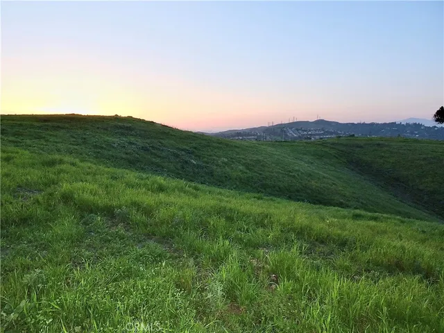 a view of a lush green space with sea