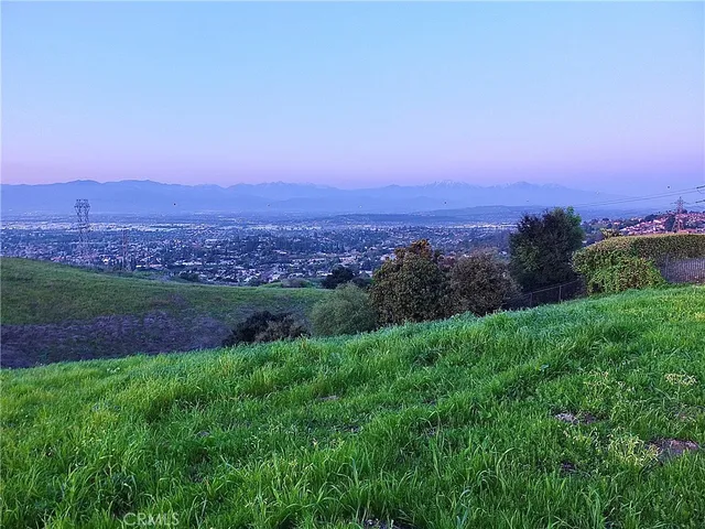 a view of a city with lush green forest