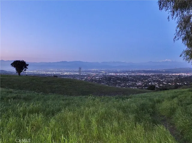 a view of a lush green outdoor space with a swimming pool