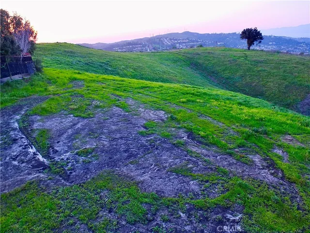 a view of a back yard