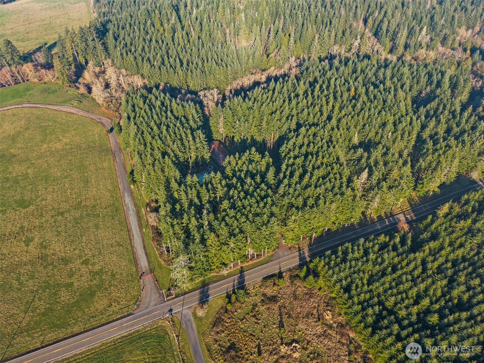1895 North Fork Road Chehalis, WA 98532 - Photo 39 of 39