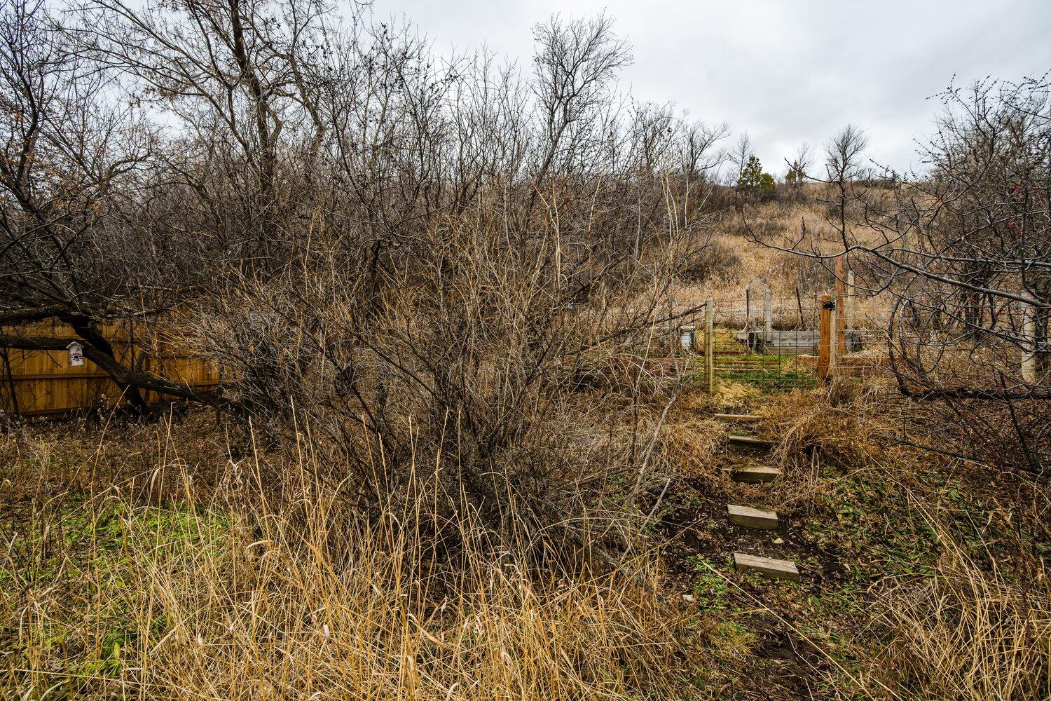 662 Harrison Street Sheridan, WY 82801 - Photo 27 of 27 26 backyard