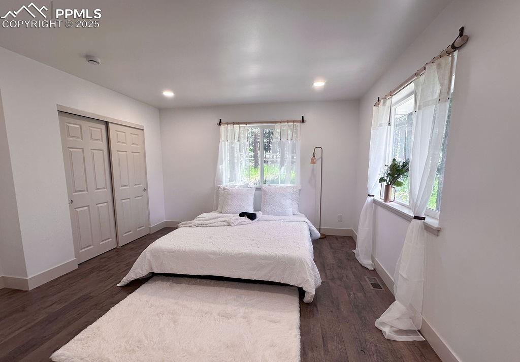 14546 Pine View Road Larkspur, CO 80118 - Photo 18 of 37 Bedroom featuring dark wood-style floors, recessed lighting, and a closet