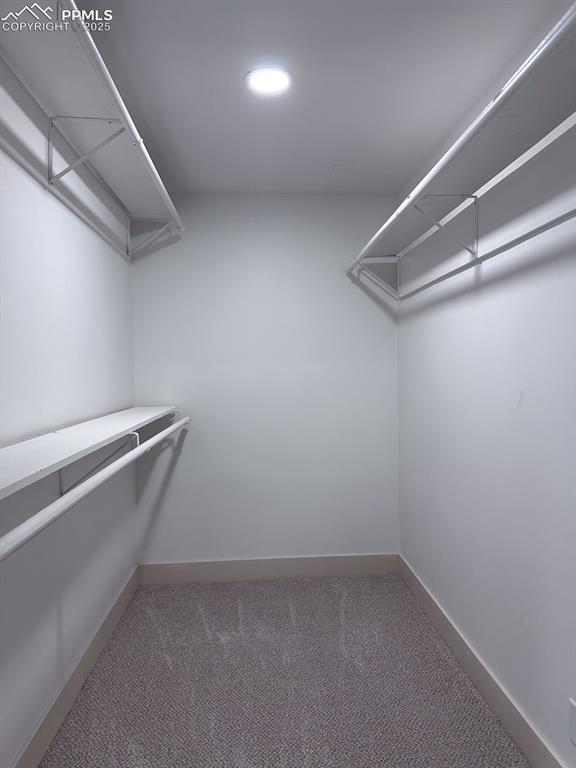 14546 Pine View Road Larkspur, CO 80118 - Photo 26 of 37 Spacious closet featuring carpet
