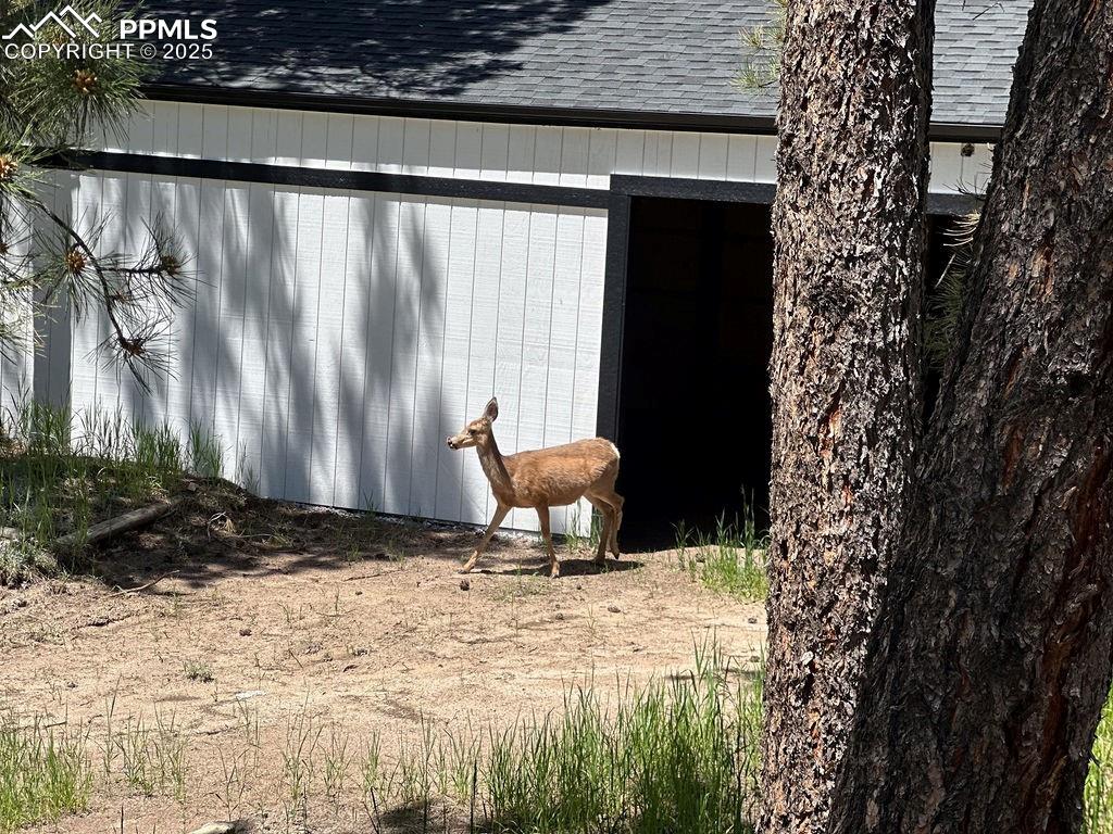 14546 Pine View Road Larkspur, CO 80118 - Photo 33 of 37 View of outbuilding