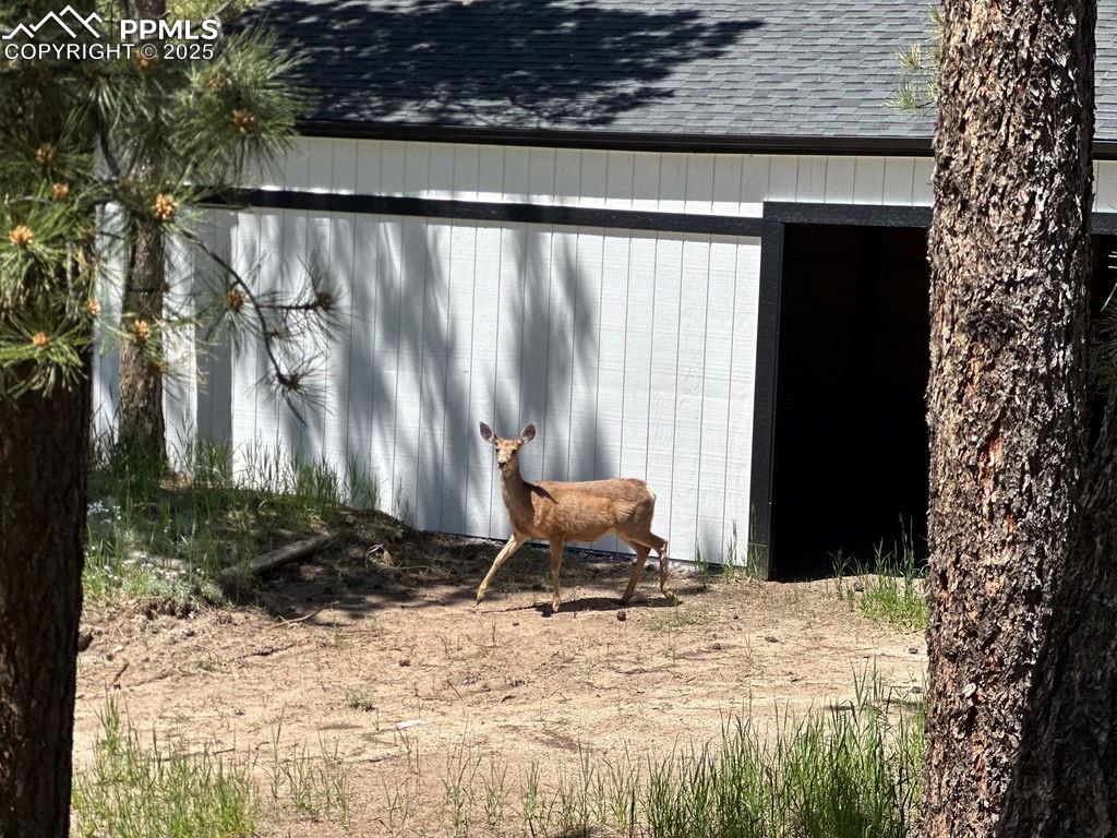 14546 Pine View Road Larkspur, CO 80118 - Photo 34 of 37 View of outbuilding