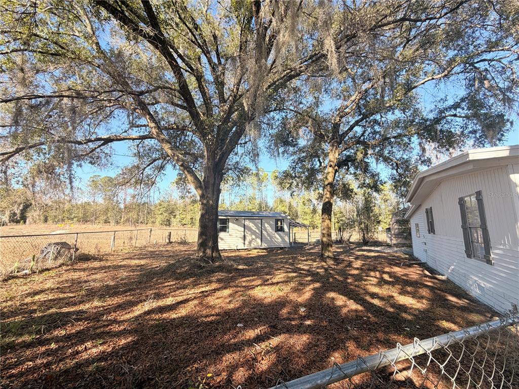 26352 Mc Allister Street Brooksville, FL 34602 - Photo 11 of 26 a view of outdoor space with trees