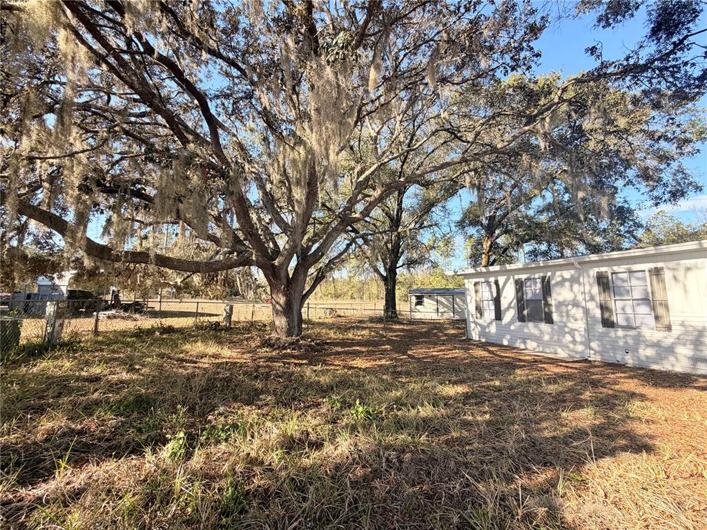 26352 Mc Allister Street Brooksville, FL 34602 - Photo 12 of 26 a view of large trees with yard