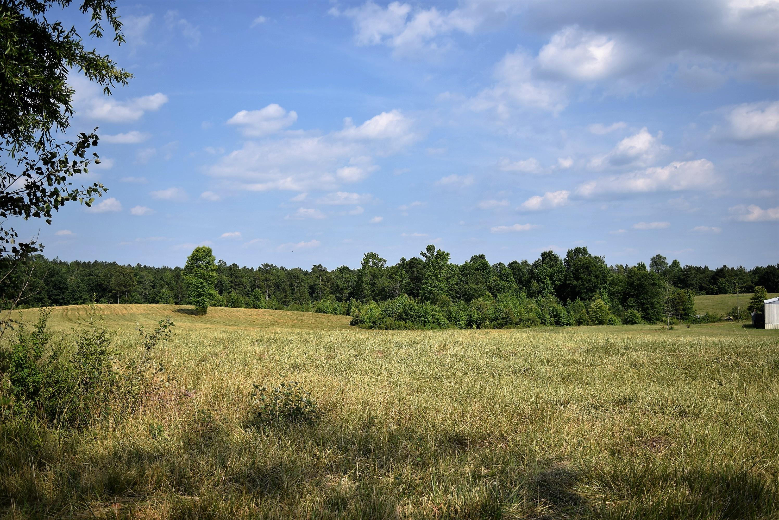 1472 Cool Springs Road Carthage, NC 28327 - Photo 8 of 12 DSC_0020