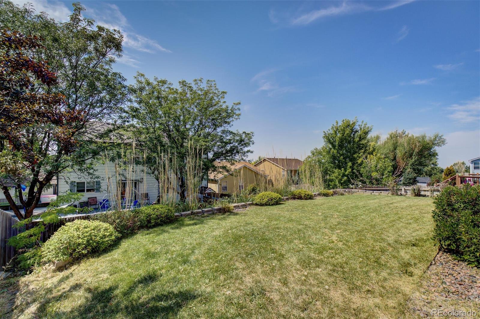 5555 South Rome Street Aurora, CO 80015 - Photo 33 of 34 a view of backyard with large trees