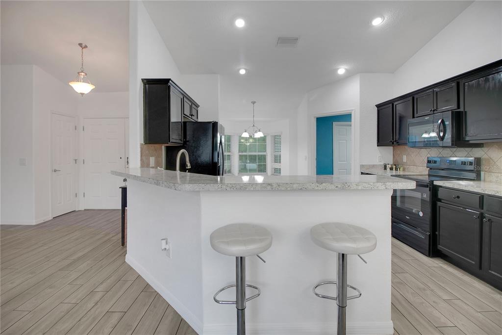 314 Stone Castle Loop Lady Lake, FL 32159 - Photo 16 of 42 a kitchen with kitchen island granite countertop a sink and a refrigerator