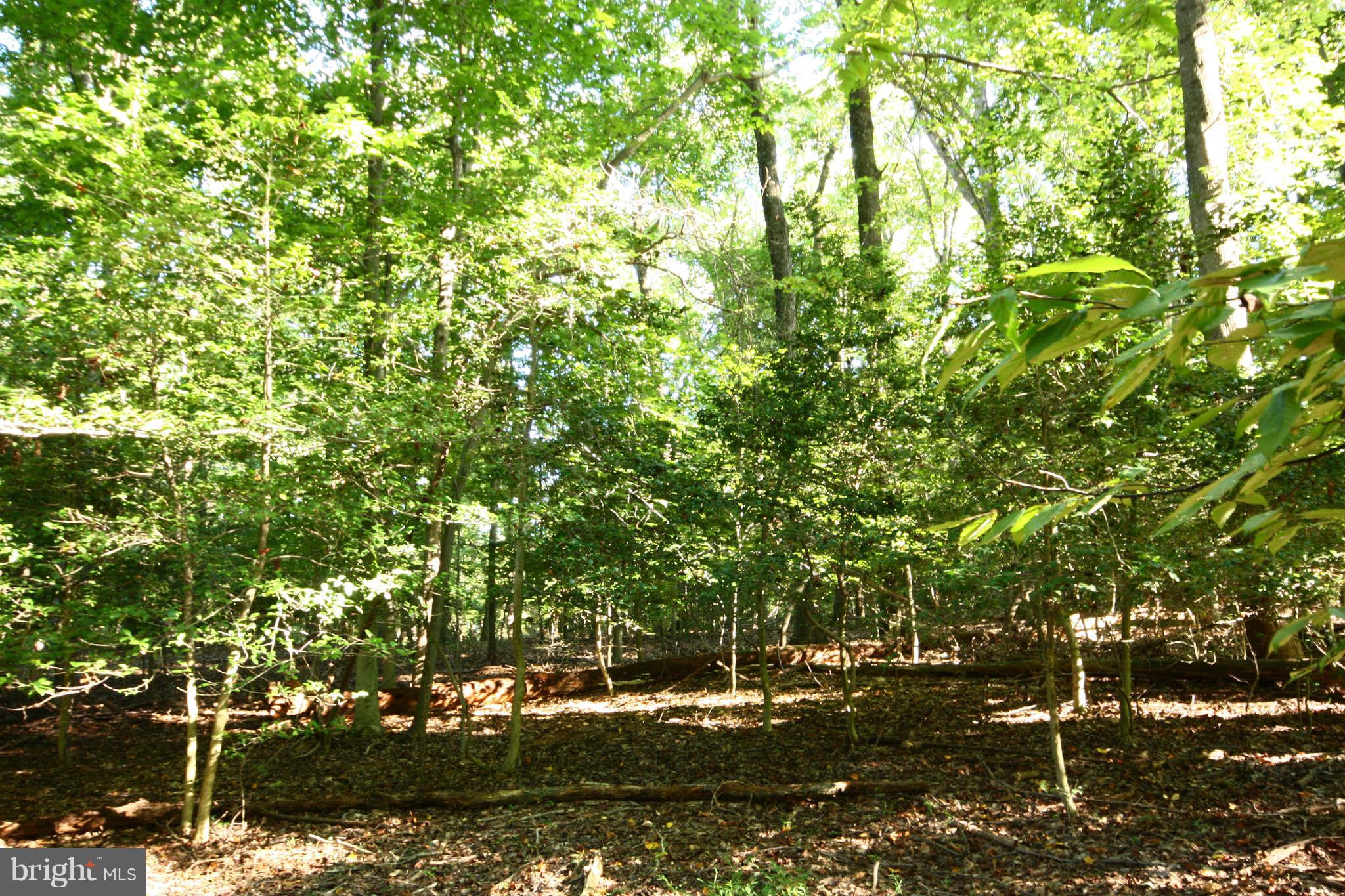 627 Utterback Store Road Great Falls, VA 22066 - Photo 4 of 6 View