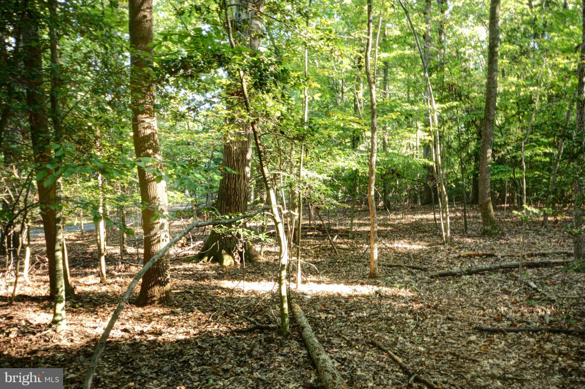 627 Utterback Store Road Great Falls, VA 22066 - Photo 5 of 6 View