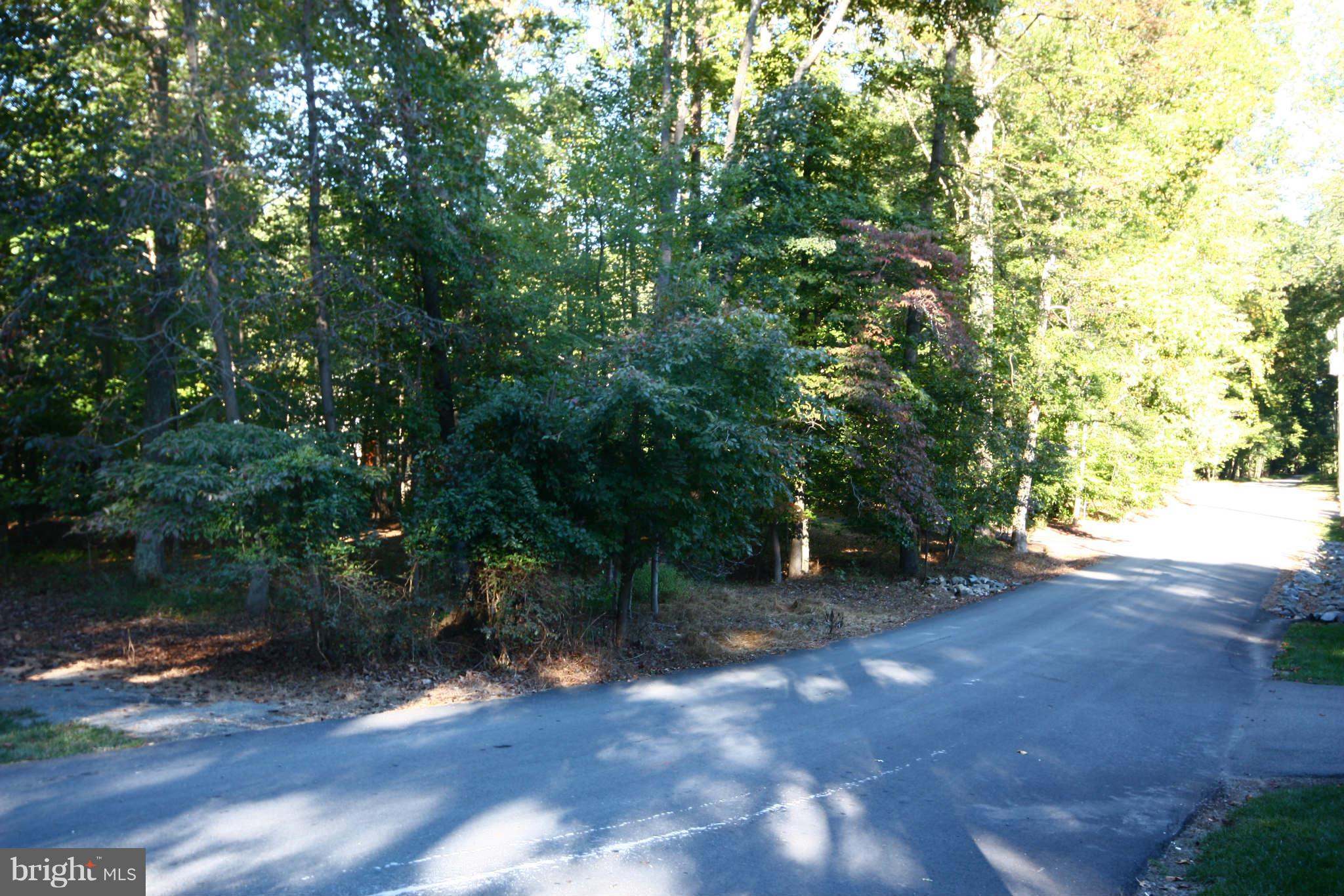 627 Utterback Store Road Great Falls, VA 22066 - Photo 6 of 6 View from street