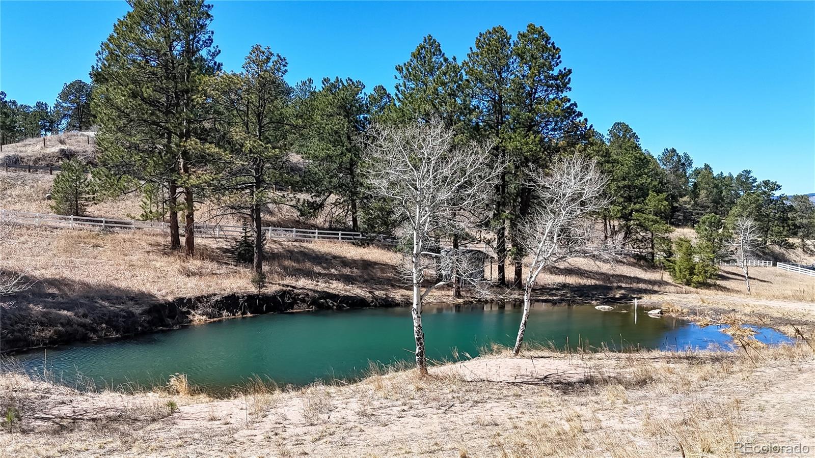 494 Thunder Road Evergreen, CO 80439 - Photo 50 of 50