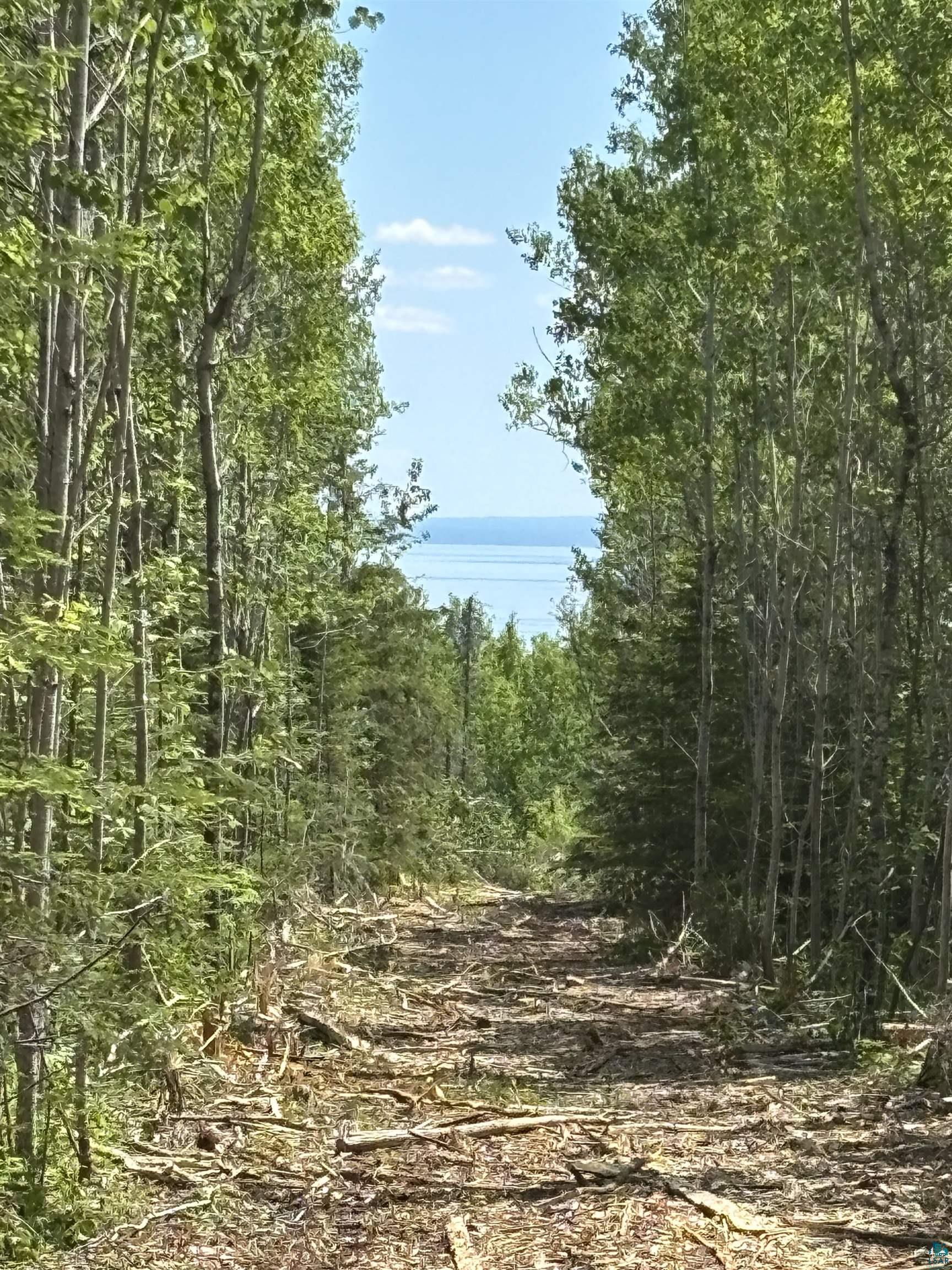 Xxx2 Wildwood Road Duluth, MN 55804 - Photo 29 of 30