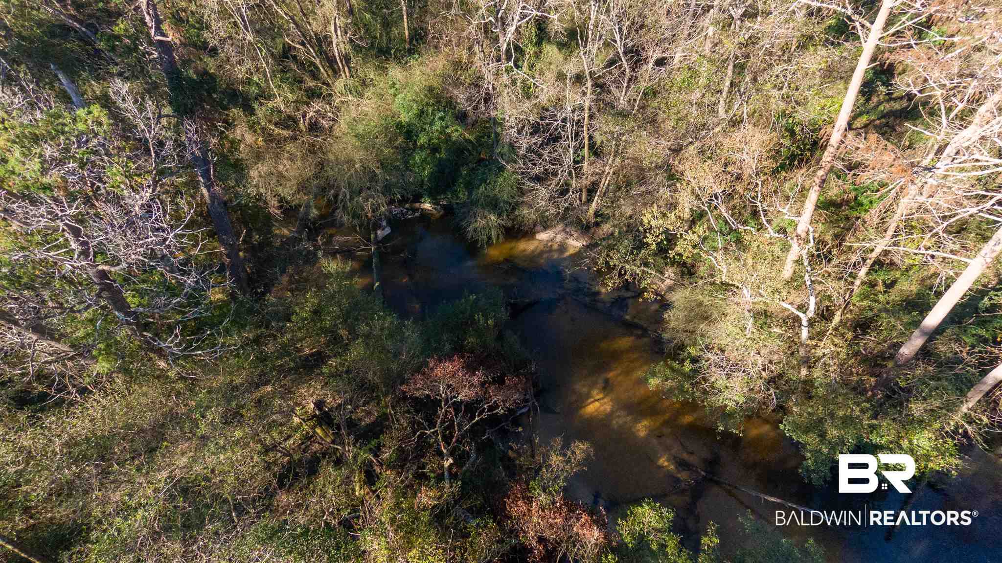 0 McPhillips Road Loxley, AL 36551 - Photo 21 of 27