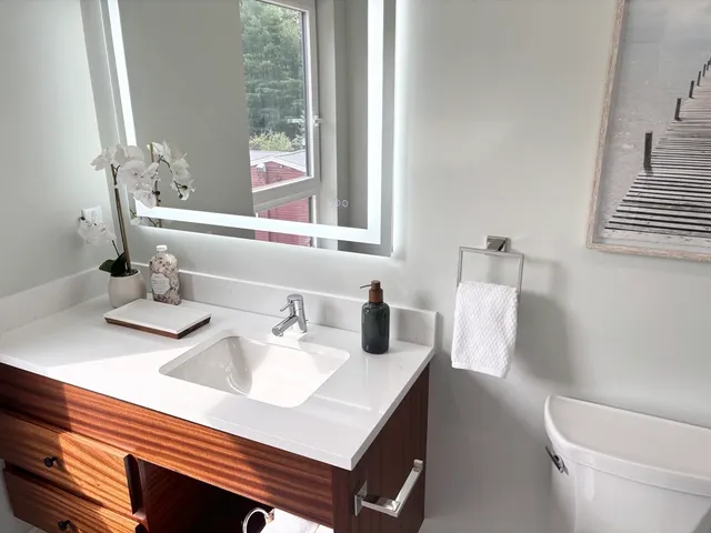 a bathroom with a sink and a toilet