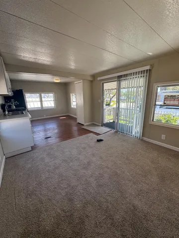 a view of a yard with a tree