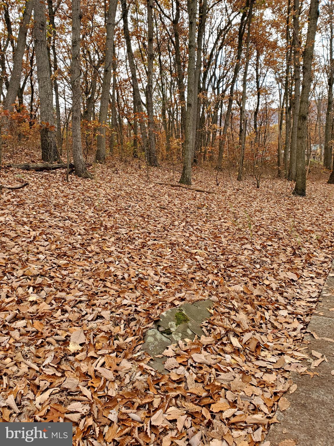 0 Harman Road Halifax, PA 17032 - Photo 8 of 16 Gallery Image 8
