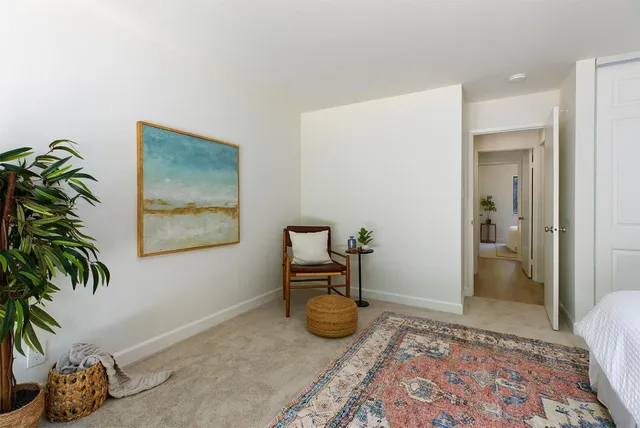 a room with furniture and a potted plant