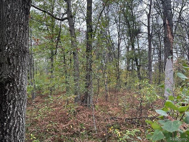 6 West 6 Mile Road Grayling, MI 49738 - Photo 1 of 2 42c70de52fe702ca5d42e3ba5a823f0c-cc_ft_9