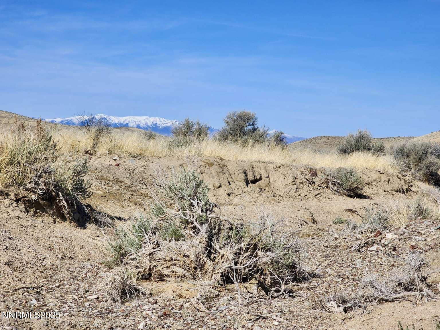 0 Blue Mountain Road Winnemucca, NV 89445 - Photo 11 of 19 Sharp.11