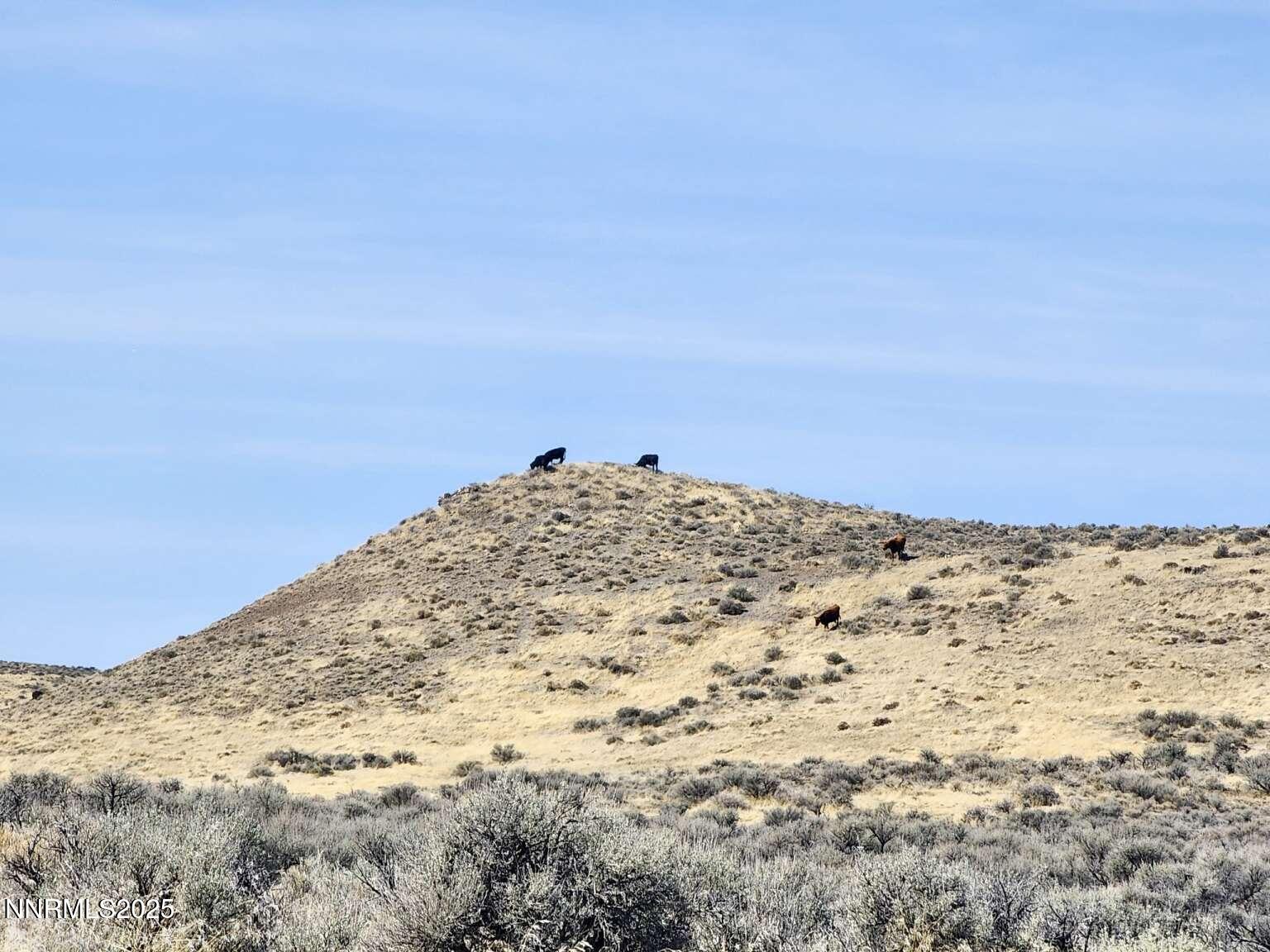 0 Blue Mountain Road Winnemucca, NV 89445 - Photo 12 of 19 Sharp.12